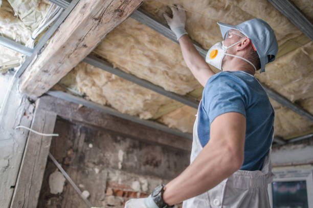 Best DIY Insulation Kits and Guidance in Beattyville, KY